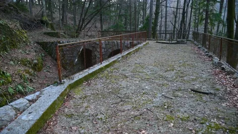 Medieval and mysterious bridge like structure in the woods Stock Footage 150647674