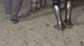 Medieval army of knights come back home. Reenactment of historical action HD Footage