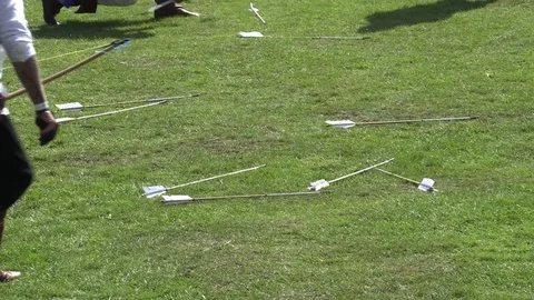 Medieval arrows being collected Stock Footage 79758956