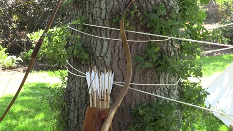 Medieval bow and arrows against tree Stock Footage 79774731