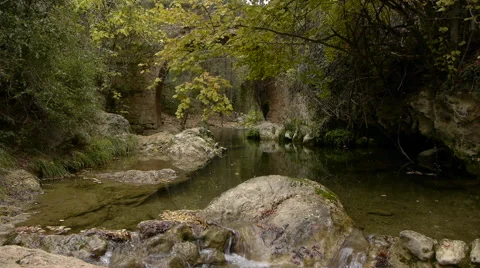 Medieval bridge between the autumnal forest and crossed by the river Guadalquivi Stock Footage 56341429