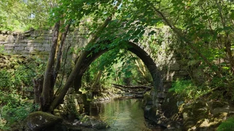 Medieval Bridge Over The Vaos River Near Lumeares 库存影片 336365461