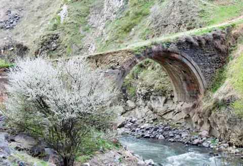 Medieval bridge Stock Photos