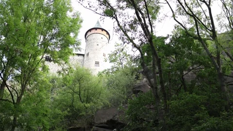 Medieval castle above a green forest Stock Footage 340137554