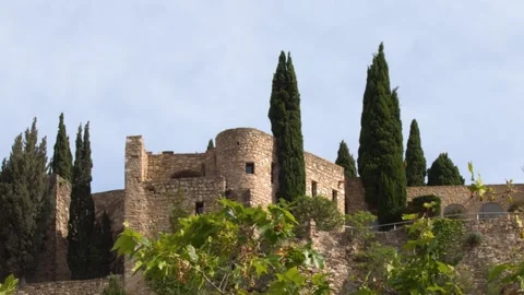 Medieval Castle of Cassis with Cypress Trees in Provence Stock Footage 342574034