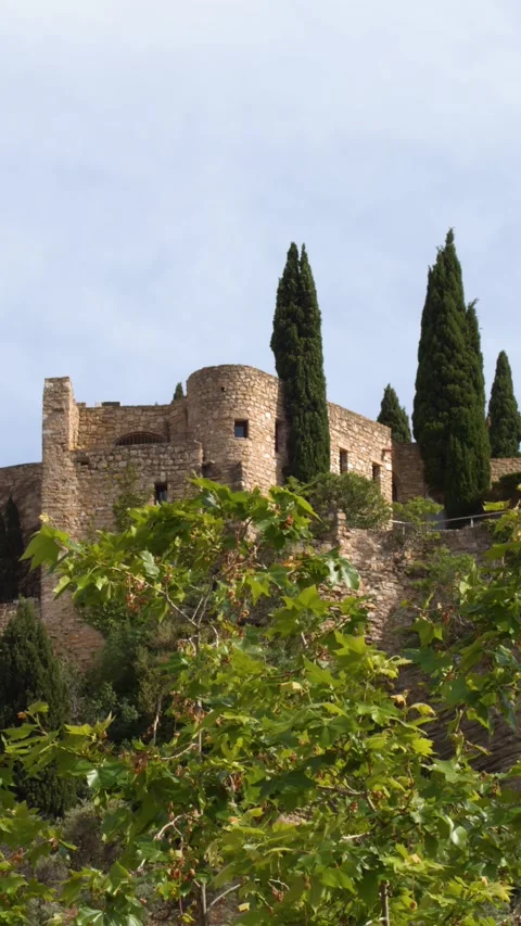 Medieval Castle of Cassis with Cypress Trees in Provence France Stock Footage 342778151