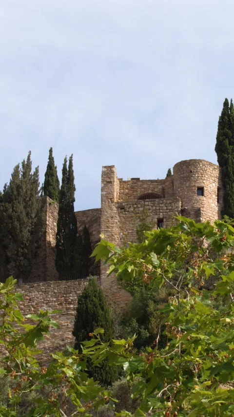 Medieval Castle of Cassis with Stone Walls and Cypress Trees Stock Footage 344619588