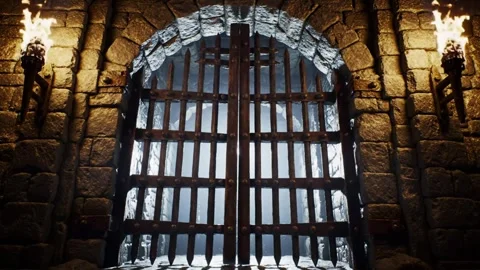 Medieval Castle Gate Iron Bars Stone Arch Historic Entrance Stock-Footage 310482101