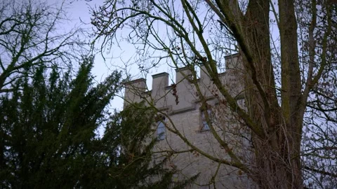 Medieval Castle Tower Behind Bare Winter Trees with a Moody Evening Sky Stock Footage 301494290