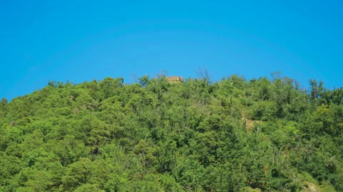 Medieval castle tower emerging above forest canopy near Ribeauville, France Stock-Footage 327569242
