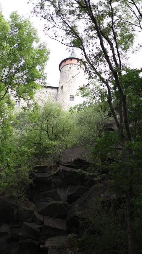 Medieval castle tower rises above a dramatic forest gorge Stock Footage 340135325