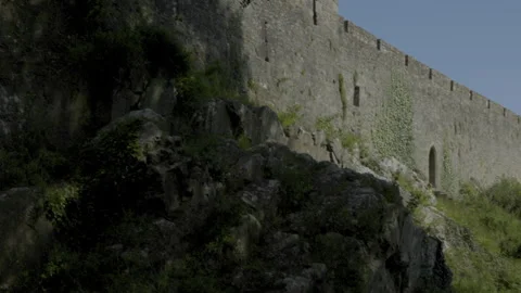 Medieval castle walls Stock Footage 263503151