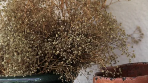 Medieval clay pots Stock Footage 71307564