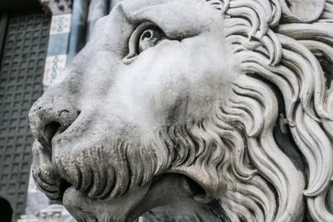 Medieval Closeup Fotos Stock