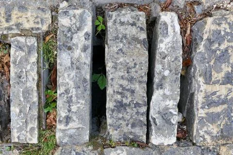 Medieval Drainage Grid. Stock Photos
