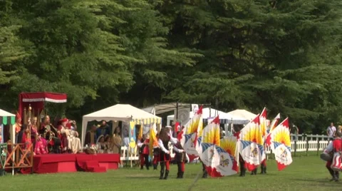 Medieval drummer 24 Stock Footage 8657757
