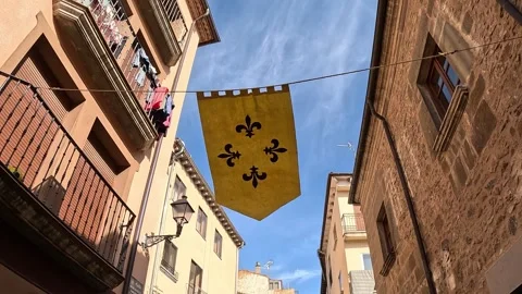 Medieval flag hanging at a historical fair Stock Footage 314286113