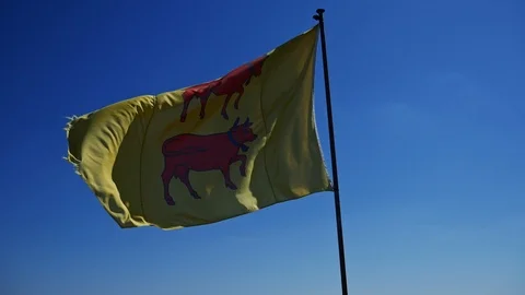 Medieval flags blowing in the wind Stock Footage 112314215