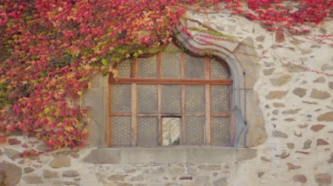 Medieval gothic window Video stock 32169252