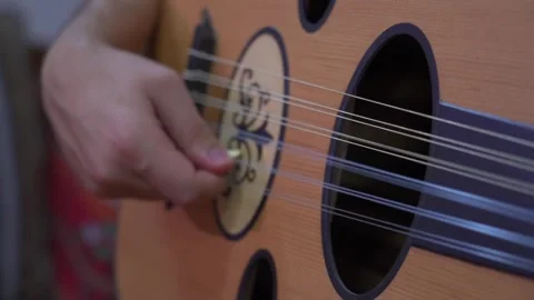 The Medieval Islamic Oud  Stock-Footage 324914546