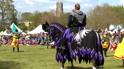 Medieval Knight &amp; Hoarse Stock Footage 48023832