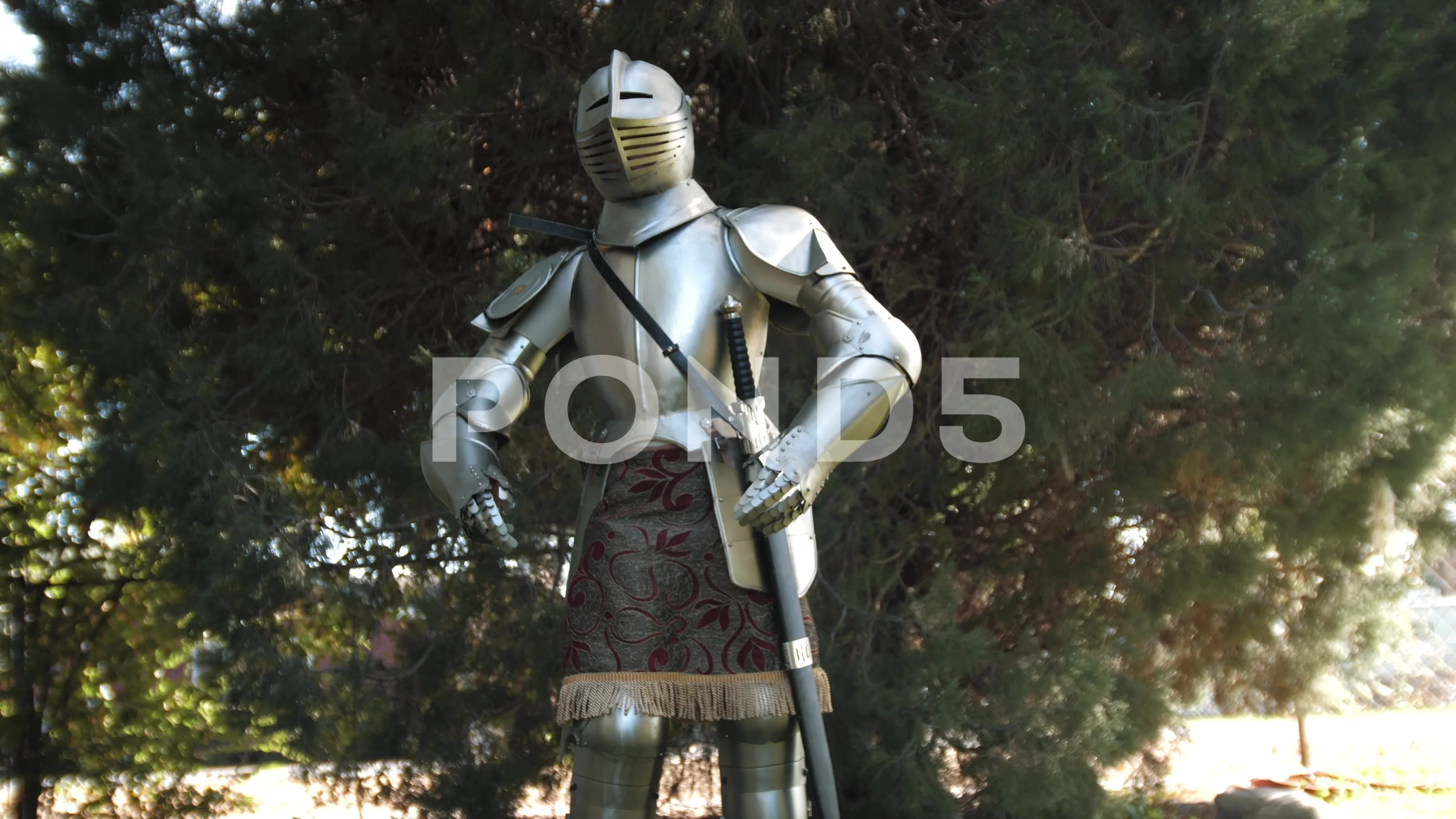 Knight In Shining Armour Stock Footage Royalty Free Stock Videos Pond5