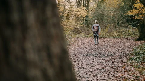 Medieval knight walking in a forest Stock Footage 130259409