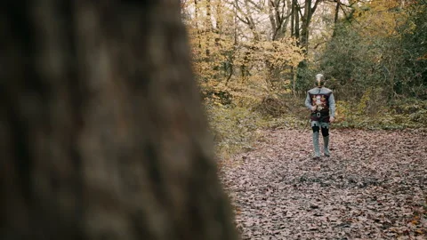 Medieval knight walking in a forest Stock Footage 130259799