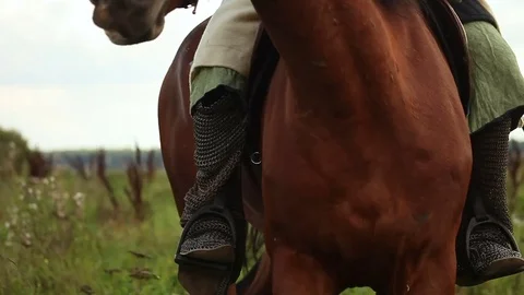 Medieval knights on horseback. Video stock 70633494