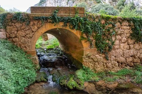 Medieval stone bridge where a small stream flows in the village of Tobera Foto stock