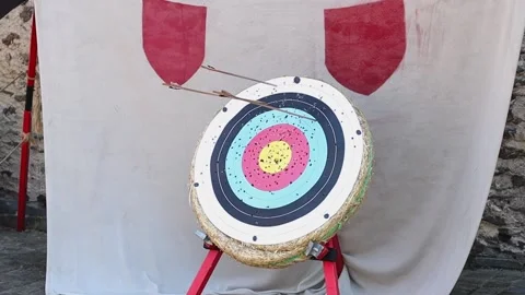 Medieval straw target with flying arrows and missing the target Video stock 216851789
