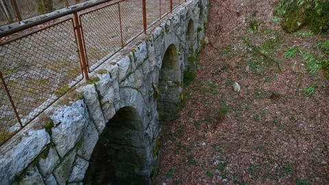 Medieval structure in the woods. Bridge made in rural area Stock Footage 150647501