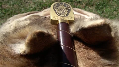 Medieval sword, king Arthur Stock Footage 160624031