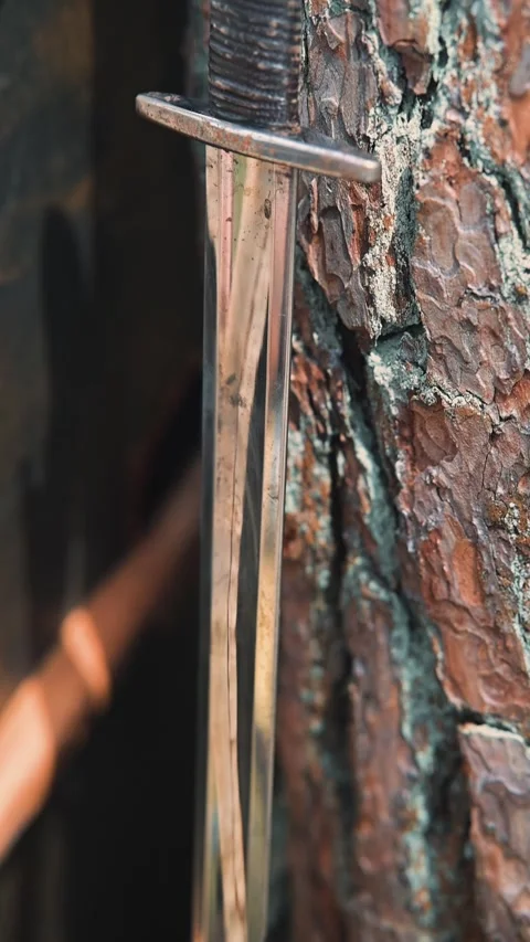 A medieval sword is shown resting against tree bark in a reenactment setting. Stockbeeldmateriaal 345036468