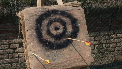 Medieval target with arrows shot 動画素材 113186931