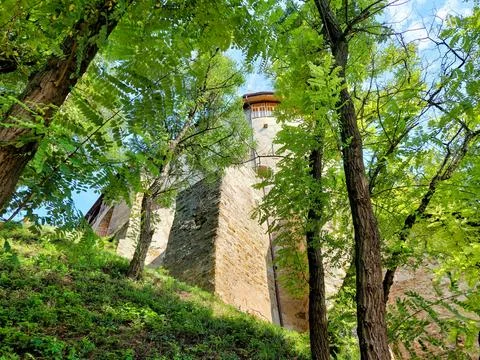 Medieval Tatar Tower with windows viewed through acacia trees in Ostroh, Ukraine Stock Photos