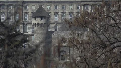 Medieval Tower and Buda Castle Walls Through Bare Trees Stock Footage 336064767