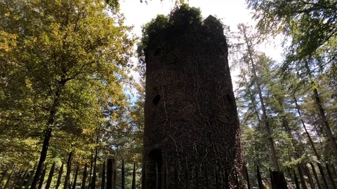Medieval tower Stock Footage 93836137