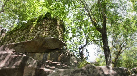 Medieval tower in the woods Stock Footage 25952612