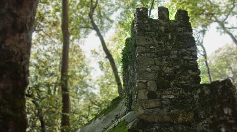 Medieval tower in the woods Stock Footage 25968397