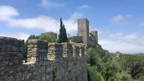 Medieval walls Stock Footage 197472073