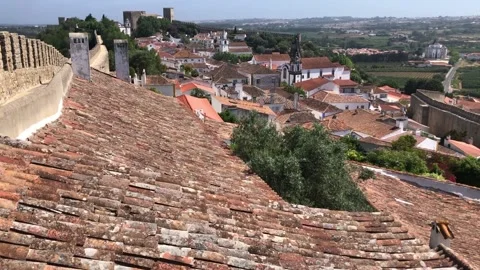 Medieval walls with town view Stock Footage 197472059