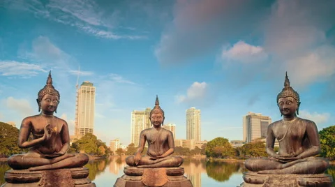 Meditating Buddhas timelapse Stock Footage 56447737