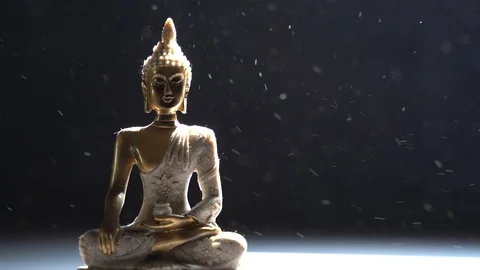 Meditating during snowfall Stock Footage 119695386