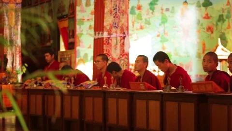 Meditating monks sitting in a row Stock Footage 77443938