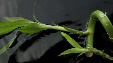 Meditation and relaxation. Stock Footage 171249924