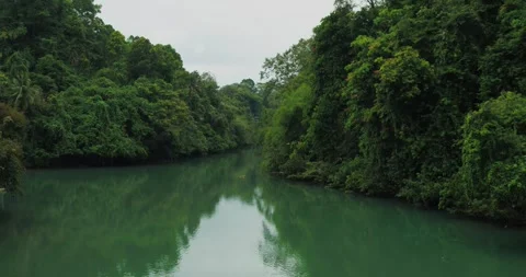 Meditation Background Tropical River Flow with Calm Natural Movement Video stock 332415837