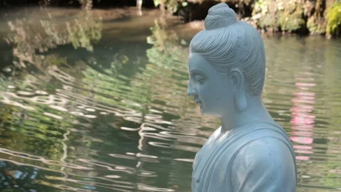 Meditation in the nature concept Stock Footage 107774010