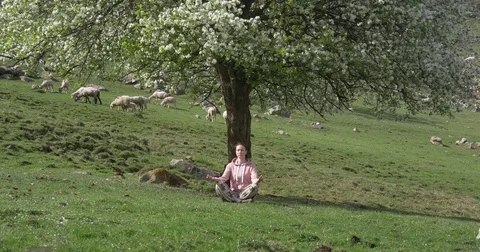 Meditation near the trunk of a tree Stock Footage 75464432