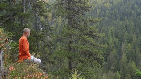 Meditation over the forest Stock Footage 124551629